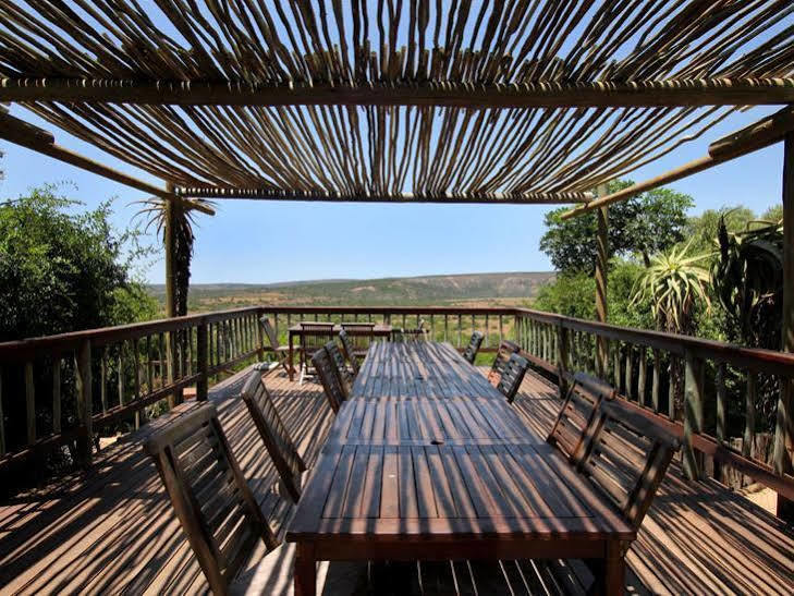 Woodbury Lodge - Amakhala Game Reserve Ngoại thất bức ảnh