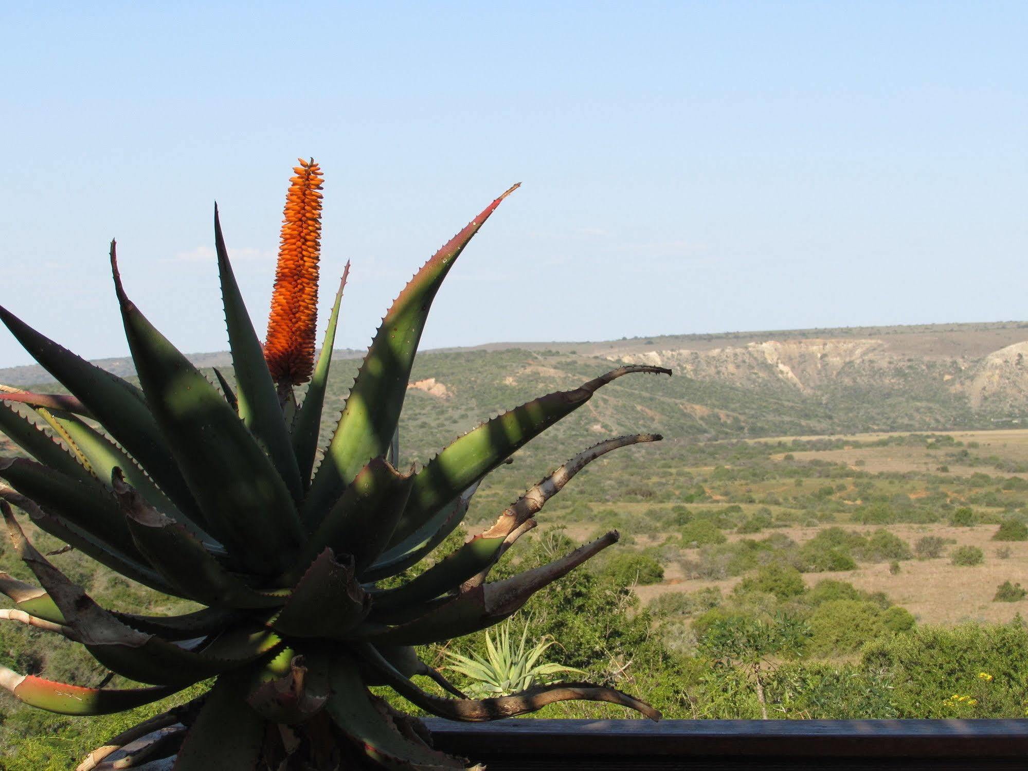 Woodbury Lodge - Amakhala Game Reserve Ngoại thất bức ảnh