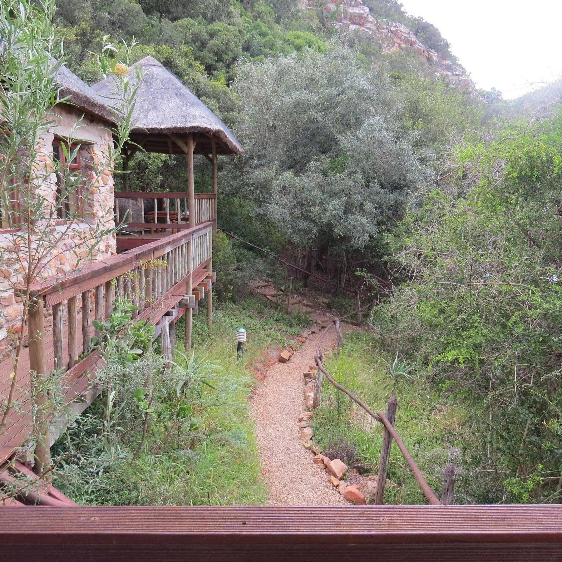 Woodbury Lodge - Amakhala Game Reserve Ngoại thất bức ảnh
